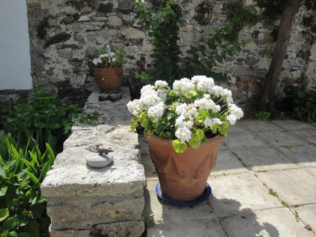 Le Buzet Bleu Bed & Breakfast Noirmoutier-en-l'Ile Exterior foto